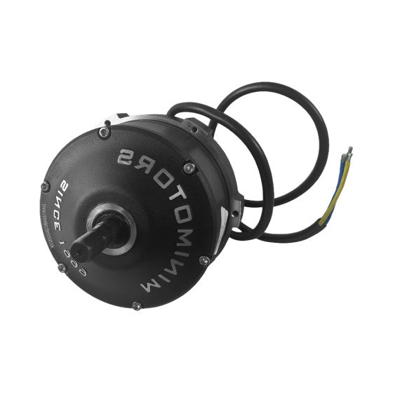 Motor Dualtron Achilleus (compatible delantero - trasero)